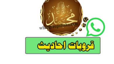 قروب واتساب احاديث