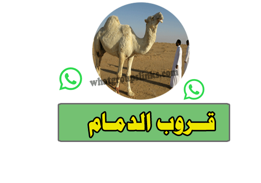 قروب واتساب الدمام
